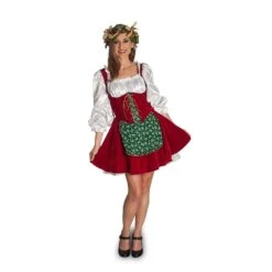 Miss Santa Claus Costume Small Medium