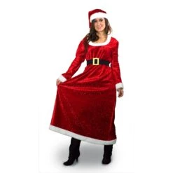 Charming Ms. Santa Claus Costume Medium Large