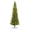 6.5 Foot Belmont Balsam Pencil Fir Artificial Christmas Tree - 350 DuraLit LED Warm White Mini Lights -Winter Decor Hub A190666LED