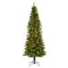 6.5 Foot Creswell Pine Pencil Artificial Christmas Tree - 350 DuraLit Incandescent Clear Mini Lights -Winter Decor Hub A192666