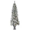 5.5 Foot Frosted Brewer Pine Artificial Potted Christmas Tree 150 Incandescent Clear Mini Lights 1 5.5 Foot Frosted Brewer Pine Artificial Potted Christmas Tree 150 Incandescent Clear Mini Lights -Winter Decor Hub B156856