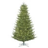 7.5 Foot Medium Deluxe Frasier Fir Artificial Christmas Tree 700 DuraLit LED M5 Italian Warm White Mini Lights 1 7.5 Foot Medium Deluxe Frasier Fir Artificial Christmas Tree 700 DuraLit LED M5 Italian Warm White Mini Lights -Winter Decor Hub G162276LED20Deluxe20Frasier20LED