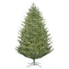 7.5 Foot Full Deluxe Frasier Fir Artificial Christmas Tree 900 DuraLit LED M5 Italian Warm White Mini Lights 2 7.5 Foot Full Deluxe Frasier Fir Artificial Christmas Tree 900 DuraLit LED M5 Italian Warm White Mini Lights -Winter Decor Hub G162476LED20Deluxe20Fraiser20LED