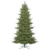 10 Foot Hawthorne Frasier Fir Artificial Christmas Tree 1000 DuraLit Incandescent Clear Lights -Winter Decor Hub G163586