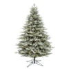 14 Foot Douglas Blue Fir Artificial Christmas Tree - 2900 DuraLit LED Warm White Mini Lights 2 14 Foot Douglas Blue Fir Artificial Christmas Tree - 2900 DuraLit LED Warm White Mini Lights -Winter Decor Hub G192496LED