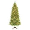 9.5 Foot Slim Asheville Fraiser Artificial Christmas Tree 700 DuraLit Incandescent Clear Mini Lights 2 9.5 Foot Slim Asheville Fraiser Artificial Christmas Tree 700 DuraLit Incandescent Clear Mini Lights -Winter Decor Hub G193886