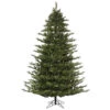 10 Foot Oak Frasier Fir Artificial Christmas Tree Unlit -Winter Decor Hub K178385
