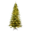 10 Foot Kamas Fraiser Fir Artificial Christmas Tree 900 DuraLit LED Warm White Mini Lights -Winter Decor Hub K184086LED