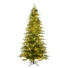 12 Foot Kamas Fraiser Fir Artificial Christmas Tree 1250 DuraLit LED Warm White Mini Lights -Winter Decor Hub K184091LED