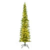 7.5 Foot Compton Pole Pine Artificial Christmas Tree 850 Low Voltage LED 3MM Micro Warm White Lights 2 7.5 Foot Compton Pole Pine Artificial Christmas Tree 850 Low Voltage LED 3MM Micro Warm White Lights -Winter Decor Hub K187376LED20Compton20Pole20Pine
