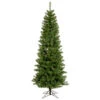 5.5 Foot Salem Pencil Pine Artificial Christmas Tree 200 DuraLit LED M5 Italian Multi Color Mini Lights -Winter Decor Hub a103057led