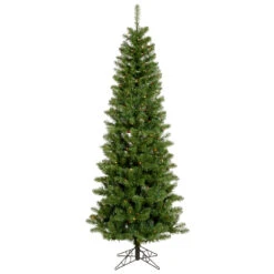 5.5 Foot Salem Pencil Pine Artificial Christmas Tree 200 DuraLit LED M5 Italian Multi Color Mini Lights