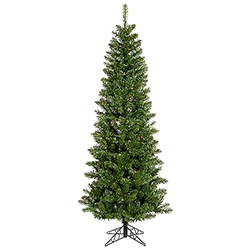 6.5 Foot Salem Pencil Pine Artificial Christmas Tree 200 DuraLit LED Multi Color Italian Mini Lights 3 6.5 Foot Salem Pencil Pine Artificial Christmas Tree 200 DuraLit LED Multi Color Italian Mini Lights