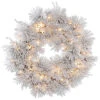 30 Inch Flocked Alberta Wreath With Pine Cones 50 DuraLit Clear Lights -Winter Decor Hub a155331