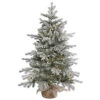 48 Inch Frosted Sable Artificial Christmas Tree 100 DuraLit Clear Lights -Winter Decor Hub a156641