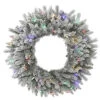 30 Inch Frosted Sable Pine Wreath 50 LED Multi Lights -Winter Decor Hub a156832led