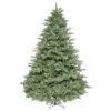 5.5 Foot Idaho Frasier Fir Artificial Christmas Tree 400 LED M5 Italian Warm White Mini Lights -Winter Decor Hub a163056led