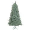 12 Foot Slim Colorado Blue Spruce Artificial Christmas Tree Unlit -Winter Decor Hub a164590