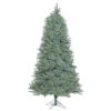 15 Foot Colorado Blue Spruce Slim Artificial Christmas Tree 3300 DuraLit LED Multi Color Italian Mini Lights -Winter Decor Hub a164598led