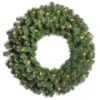 24 Inch Douglas Wreath 50 DuraLit Clear Light