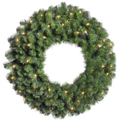 24 Inch Douglas Wreath 50 DuraLit Clear Light