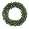 5 Foot Douglas Artificial Christmas Wreath 200 DuraLit Clear Lights -Winter Decor Hub a808860
