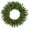 24 Inch Camdon Fir Artificial Christmas Wreath 50 DuraLit Incandescent Clear Mini Lights