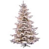 12 Foot Flocked Sierra Fir Artificial Christmas Tree 1850 DuraLit Clear Lights -Winter Decor Hub a861891
