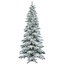 12 Foot Flocked Slim Utica Fir Artificial Christmas Tree Unlit