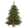 2 Foot Anoka Pine Artificial Christmas Tree Burlap Base 35 DuraLit Incandescent Clear Mini Lights -Winter Decor Hub b160425