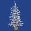 24 Inch Flocked Angel Pine Artificial Christmas Tree Unlit -Winter Decor Hub b165224