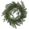 23 Inch Douglas Fir Wreath