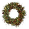 30 Inch Cibola Mixed Berry Wreath 50 LED Warm White Lights -Winter Decor Hub g118731led