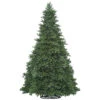 12 Foot Grand Teton Artificial Christmas Tree Unlit 2 12 Foot Grand Teton Artificial Christmas Tree Unlit -Winter Decor Hub g125312