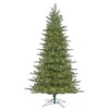 9 Foot Eastern Frasier Fir Artificial Christmas Tree 800 DuraLit LED M5 Italian Warm White Mini Lights -Winter Decor Hub g160681led