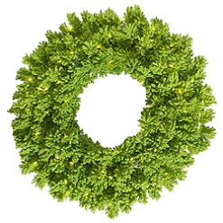24 Inch Flocked Lime Wreath 50 Lime Lights
