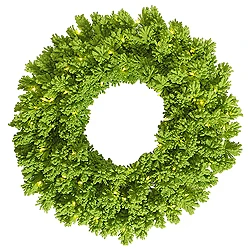 24 Inch Flocked Lime Wreath 50 Lime Lights 3 24 Inch Flocked Lime Wreath 50 Lime Lights