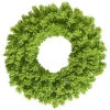 30 Inch Flocked Lime Fir Wreath -Winter Decor Hub k128630