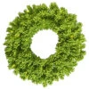 36 Inch Flocked Lime Artificial Christmas Wreath 100 Lime Lights -Winter Decor Hub k128637